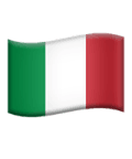 Plexus Freight manages reliable commercial cargo shipping to and from Italy.