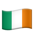 Plexus Freight manages reliable commercial cargo shipping to and from Ireland.